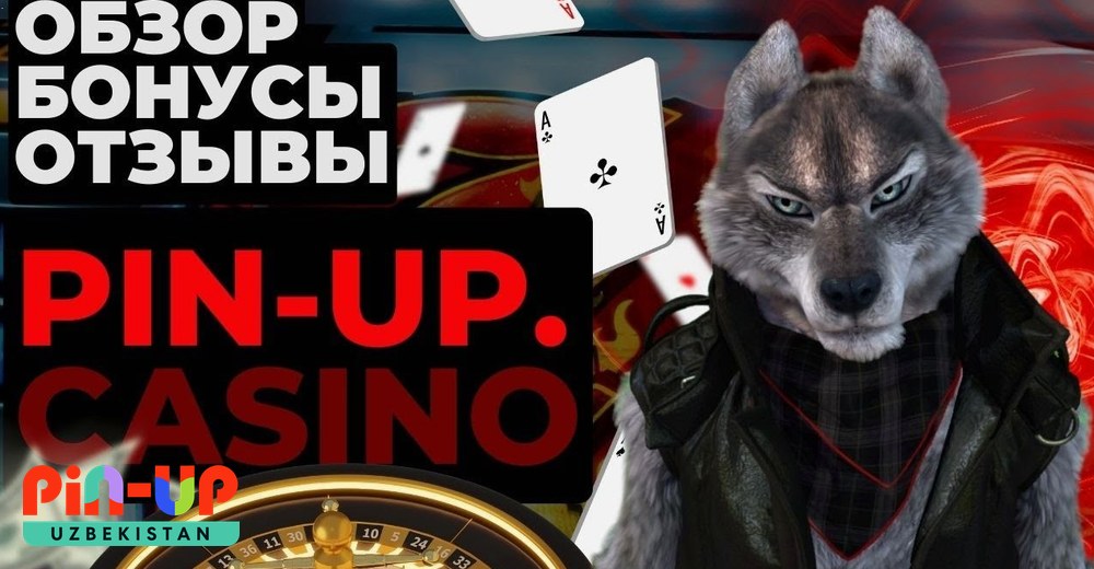 To‘lovlar Pin UP to‘lov usullari — UZcard, HUMO, kripto